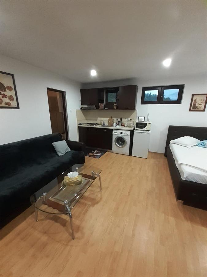 Apartament Relax Lejlighed Călimăneşti Eksteriør billede